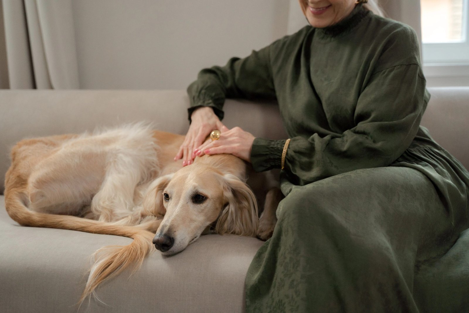Why Does My Dog Have Separation Anxiety? Signs and Fixes