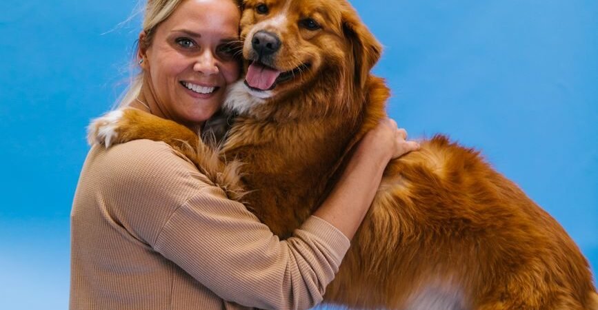 Best Pet Insurance for Dogs: Lemonade vs. Healthy Paws vs. Trupanion