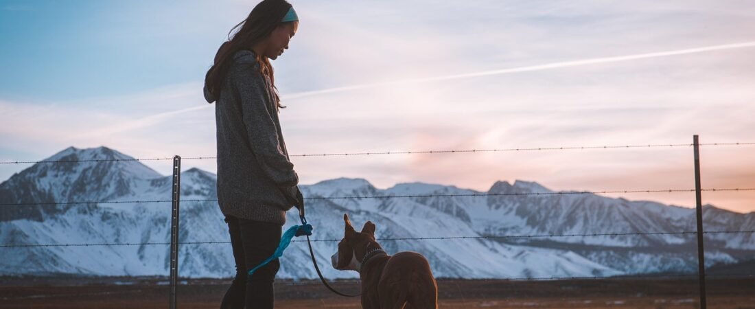 Leash Training: How to Stop Your Dog From Pulling