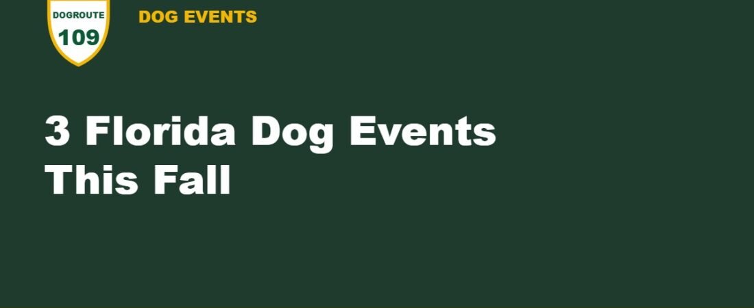 3 Florida Dog Events This Fall: Costume Contest, Bark After Dark and the AKC National Championship