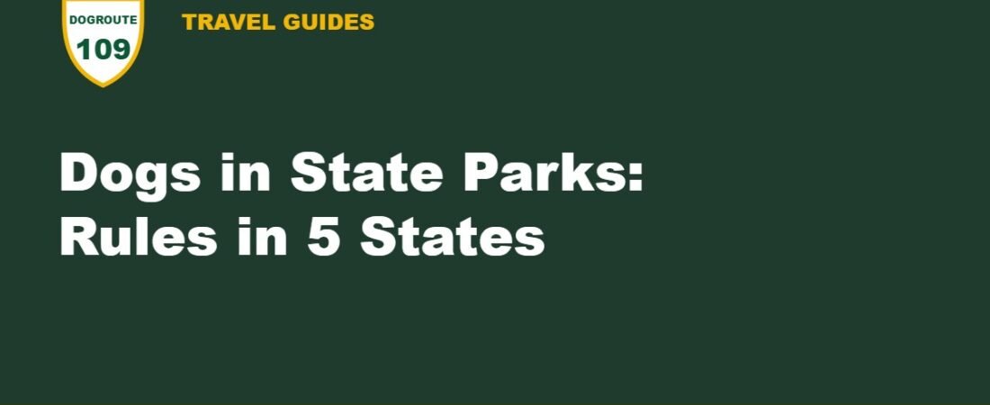Dogs in State Parks: Leash, Beach and Campsite Rules in Texas, California, Florida, New York and Illinois
